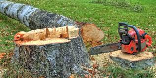 Best Tree Risk Assessment  in Middleburg, PA